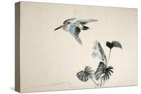 Flowers and Birds of the Four Seasons-Zeshin Shibata-Stretched Canvas