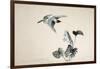 Flowers and Birds of the Four Seasons-Zeshin Shibata-Framed Giclee Print