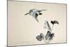 Flowers and Birds of the Four Seasons-Zeshin Shibata-Mounted Giclee Print