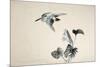 Flowers and Birds of the Four Seasons-Zeshin Shibata-Mounted Giclee Print