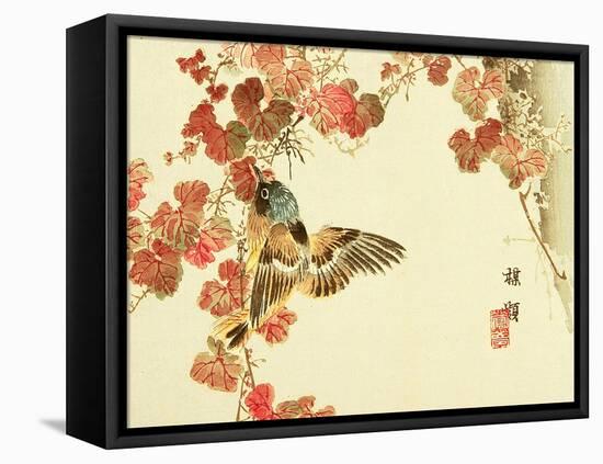 Flowers and Birds Picture Album by Bairei No.10-Bairei Kono-Framed Stretched Canvas