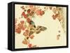 Flowers and Birds Picture Album by Bairei No.10-Bairei Kono-Framed Stretched Canvas