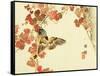 Flowers and Birds Picture Album by Bairei No.10-Bairei Kono-Framed Stretched Canvas