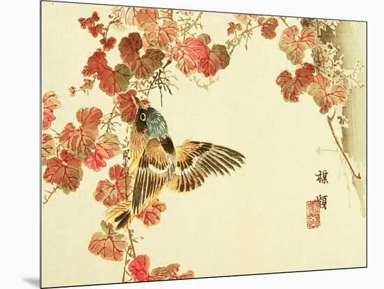 Flowers and Birds Picture Album by Bairei No.10-Bairei Kono-Mounted Giclee Print