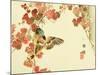 Flowers and Birds Picture Album by Bairei No.10-Bairei Kono-Mounted Premium Giclee Print
