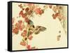 Flowers and Birds Picture Album by Bairei No.10-Bairei Kono-Framed Stretched Canvas