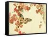 Flowers and Birds Picture Album by Bairei No.10-Bairei Kono-Framed Stretched Canvas