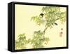 Flowers and Birds Picture Album by Bairei No.4-Bairei Kono-Framed Stretched Canvas