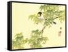 Flowers and Birds Picture Album by Bairei No.4-Bairei Kono-Framed Stretched Canvas