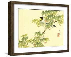 Flowers and Birds Picture Album by Bairei No.4-Bairei Kono-Framed Giclee Print