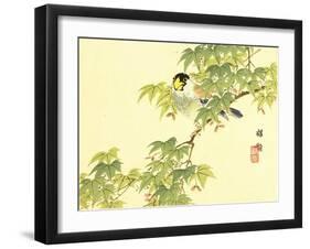 Flowers and Birds Picture Album by Bairei No.4-Bairei Kono-Framed Giclee Print