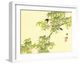 Flowers and Birds Picture Album by Bairei No.4-Bairei Kono-Framed Giclee Print