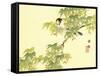 Flowers and Birds Picture Album by Bairei No.4-Bairei Kono-Framed Stretched Canvas