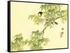 Flowers and Birds Picture Album by Bairei No.4-Bairei Kono-Framed Stretched Canvas