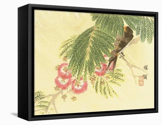 Flowers and Birds Picture Album by Bairei No.6-Bairei Kono-Framed Stretched Canvas