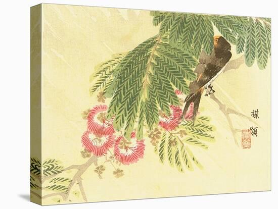 Flowers and Birds Picture Album by Bairei No.6-Bairei Kono-Stretched Canvas