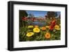 Flowers and Blue Baths, Government Gardens, Rotorua, North Island, New Zealand-David Wall-Framed Photographic Print