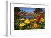 Flowers and Blue Baths, Government Gardens, Rotorua, North Island, New Zealand-David Wall-Framed Photographic Print