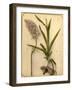 Flowers and Bulb, 1870s-Pietro Guidi-Framed Giclee Print