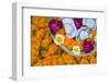 Flowers and Candles to Be Released during Ganga Aarti Ceremony-Jon Hicks-Framed Premium Photographic Print