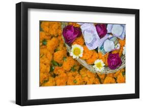 Flowers and Candles to Be Released during Ganga Aarti Ceremony-Jon Hicks-Framed Photographic Print