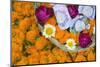Flowers and Candles to Be Released during Ganga Aarti Ceremony-Jon Hicks-Mounted Photographic Print