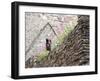 Flowers and Church Ruins, County Waterford, Ireland-William Sutton-Framed Photographic Print