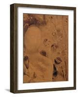 Flowers and Face-Odilon Redon-Framed Giclee Print