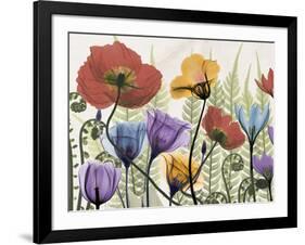 Flowers and Ferns 1-Albert Koetsier-Framed Premium Giclee Print