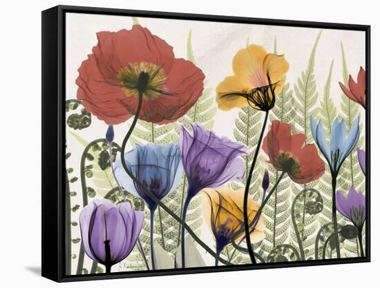 Flowers and Ferns 1-Albert Koetsier-Framed Stretched Canvas