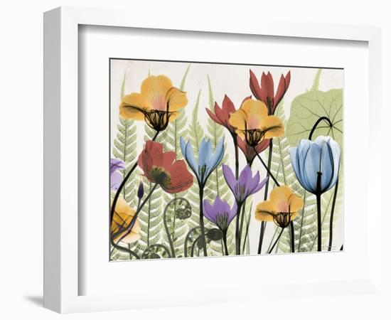 Flowers and Ferns 2-Albert Koetsier-Framed Art Print