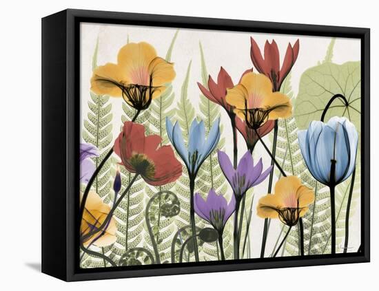 Flowers and Ferns 2-Albert Koetsier-Framed Stretched Canvas