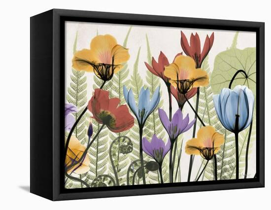 Flowers and Ferns 2-Albert Koetsier-Framed Stretched Canvas