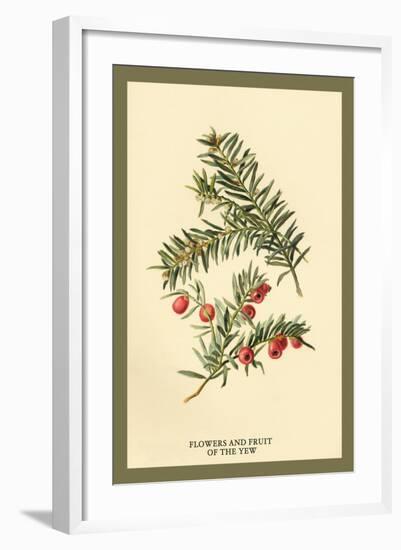 Flowers and Fruit of the Yew-W.h.j. Boot-Framed Art Print