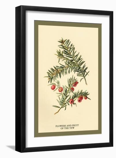 Flowers and Fruit of the Yew-W.h.j. Boot-Framed Art Print