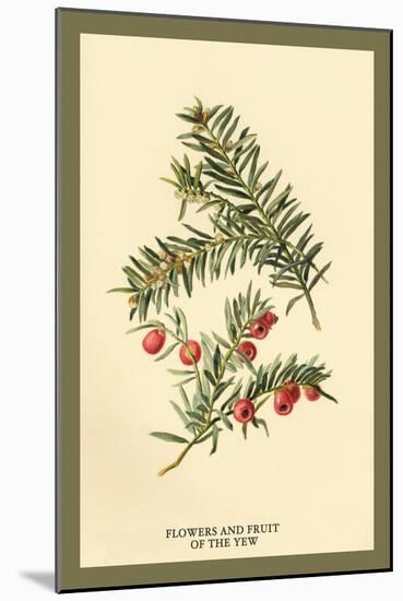 Flowers and Fruit of the Yew-W.h.j. Boot-Mounted Art Print