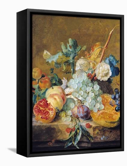 Flowers and Fruit-Jan van Huysum-Framed Stretched Canvas