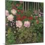 Flowers and Garden Fence; Bluhende Blumen Am Gartenzaun-Kolo Moser-Mounted Giclee Print