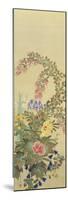 Flowers and Grasses I-Suzuki Kiitsu-Mounted Giclee Print