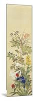 Flowers and Grasses II-Suzuki Kiitsu-Mounted Giclee Print