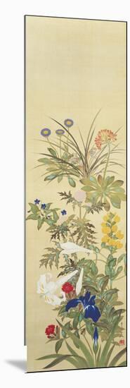 Flowers and Grasses II-Suzuki Kiitsu-Mounted Giclee Print