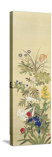 Flowers and Grasses II-Suzuki Kiitsu-Stretched Canvas