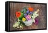 Flowers and Herbs for Natural Plant Based Herbal Remedies-marilyna-Framed Stretched Canvas