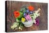 Flowers and Herbs for Natural Plant Based Herbal Remedies-marilyna-Stretched Canvas