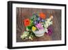 Flowers and Herbs for Natural Plant Based Herbal Remedies-marilyna-Framed Photographic Print