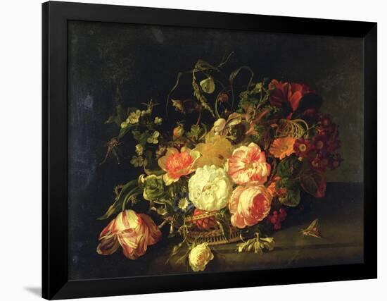 Flowers and Insects, 1711-Rachel Ruysch-Framed Giclee Print