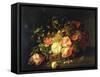 Flowers and Insects, 1711-Rachel Ruysch-Framed Stretched Canvas