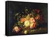 Flowers and Insects, 1711-Rachel Ruysch-Framed Stretched Canvas