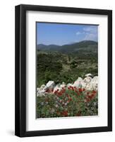 Flowers and Landscape, Greece-Tony Gervis-Framed Photographic Print