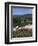 Flowers and Landscape, Greece-Tony Gervis-Framed Photographic Print